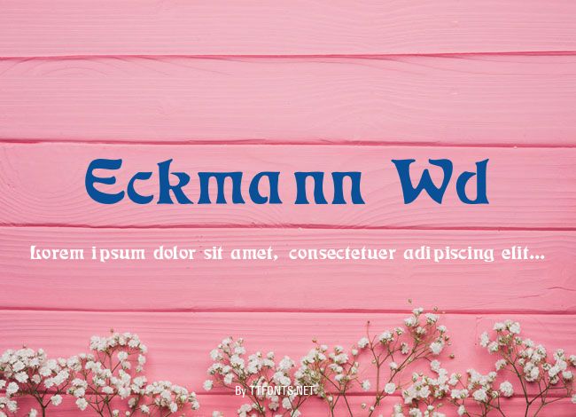 Eckmann Wd example